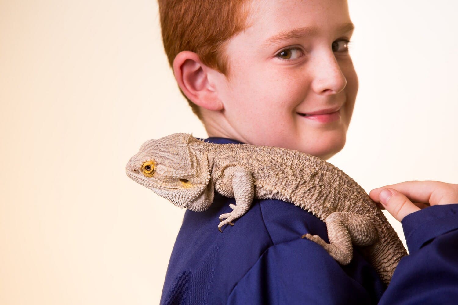 Boy Carrying a Chameleon on the Shoulder