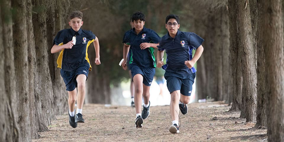 Group of Student runners