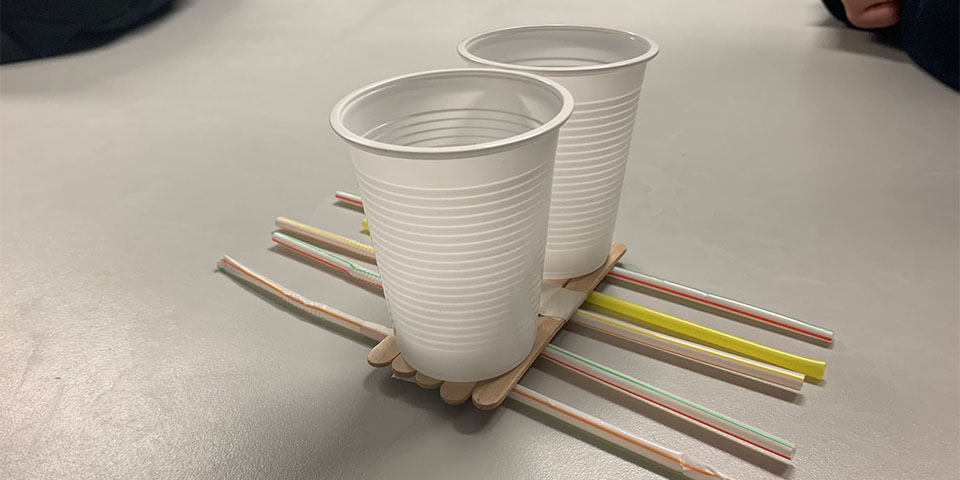 Paired Plastic Cups Straws