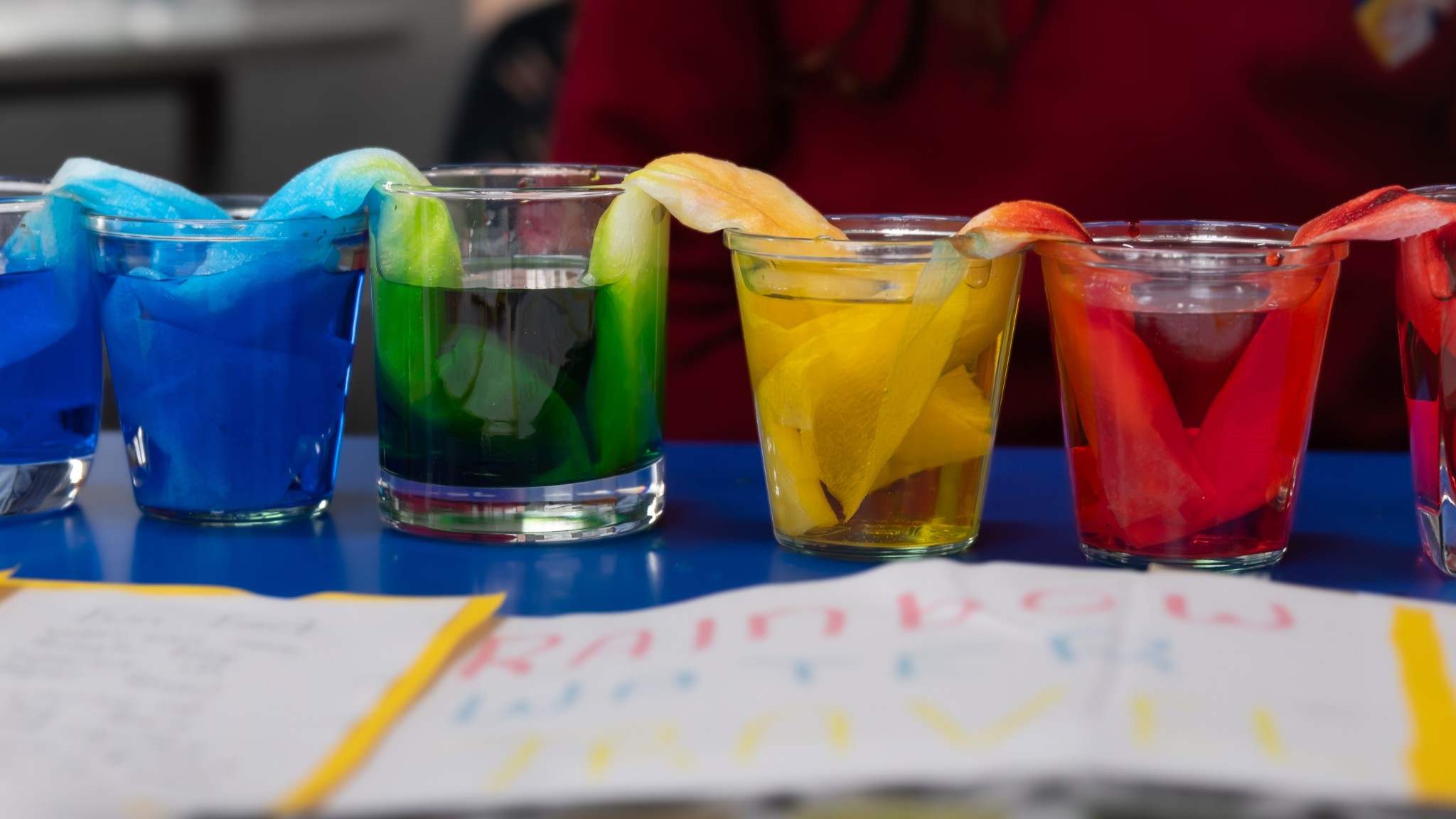 STEM Week