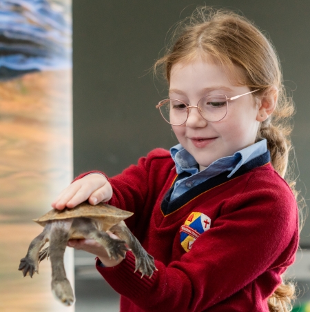 Meet and Greet Some Reptiles!
